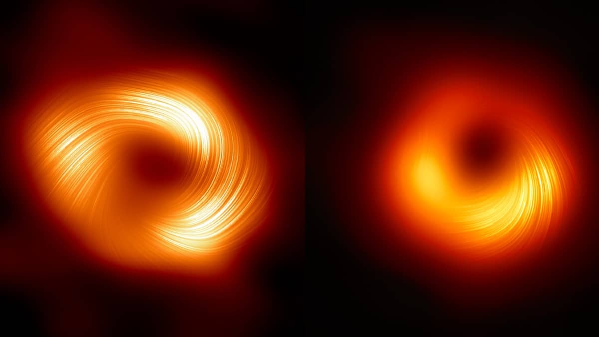 EHT images of Sagittarius A* and M87