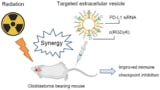 Extracellular vesicles-based immunotherapy