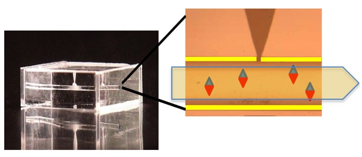 Atomic sensor is made of spins whose noise is only limited by intrinsic quantum fluctuations