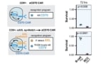 Selective killing of tumours