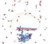 formation of SARS-CoV-2