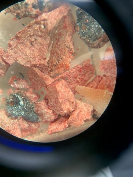 Photo through the microscope