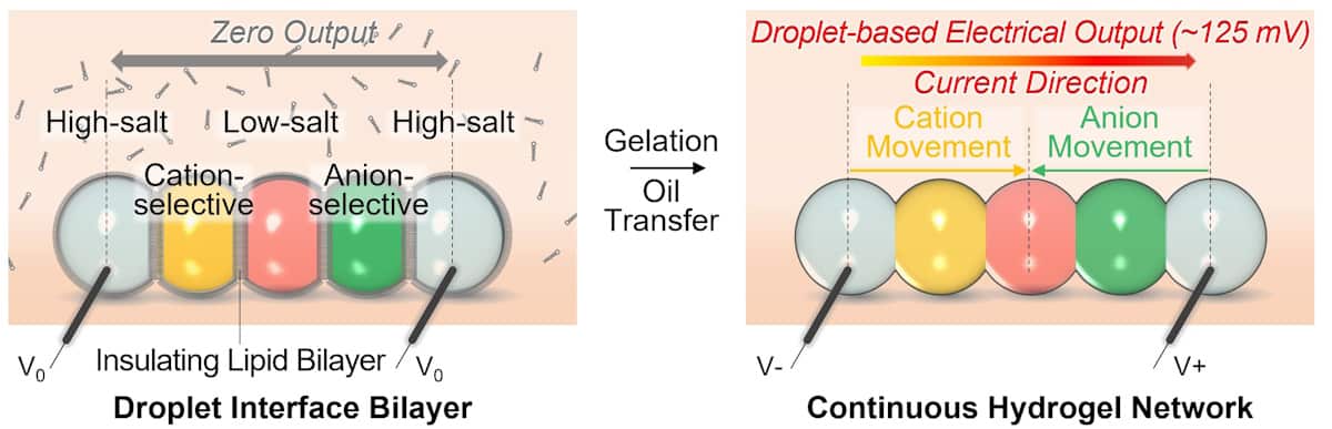 Droplet battery activation process