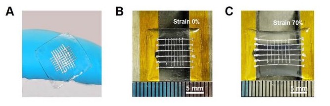 Three images of the new mesh-like ferroelectric material. The first image shows the material integrated into a clear patch that could go on skin, the second and third show it in its unstrained and strained state.