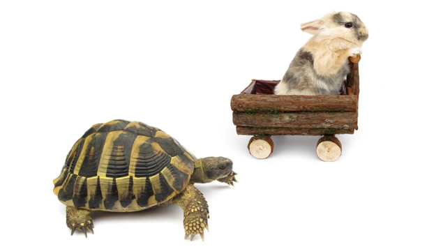 Quantum race A tortoise catching up with a hare riding in a trolley