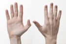 Photo of a human hand