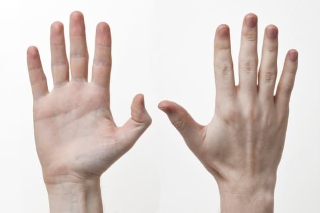 Human hand Photo of a human hand