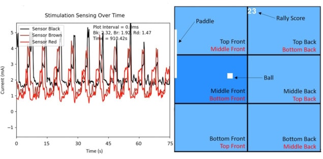 Pong graph The simulated Pong game environment, 1000 × 1000 pixels, separated into six regions