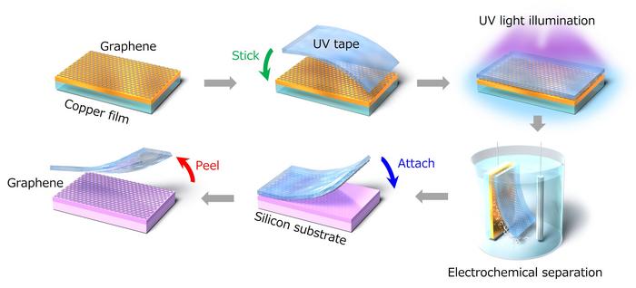 Image showing steps in the tape-transfer process. Tape is stuck to the graphene grown on a copper film, UV light is applied, the graphene+tape is electrochemically separated from the copper, the graphene+tape is applied to a silicon substrate, and the tape is peeled off, leaving just the graphene and its substrate