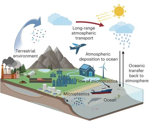 Microplastic movements