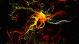 Polymer dendrites