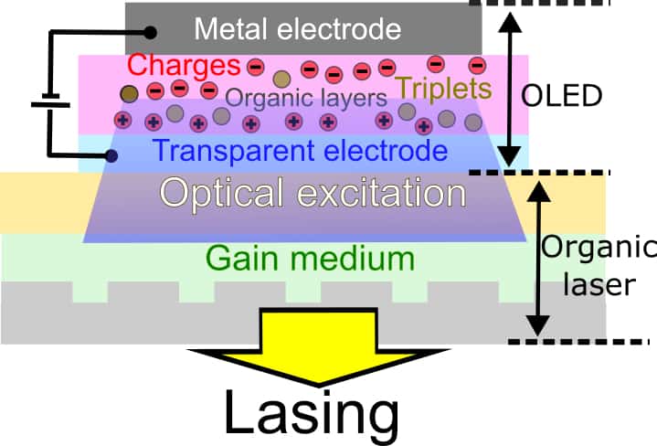 A schematic diagram of the new OLED-pumped laser